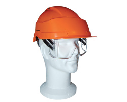 Lunettes masque de protection IRIS II
