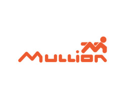MULLION